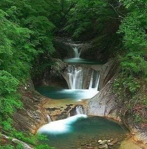 Meet your Posher, Annie